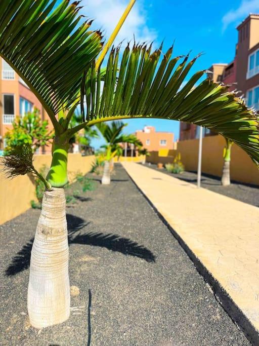 Apartamento Casa Bamboo Corralejo, Espacioso, Piscina Y Parking Esterno foto
