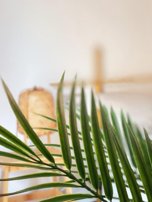 Apartamento Casa Bamboo Corralejo, Espacioso, Piscina Y Parking Esterno foto