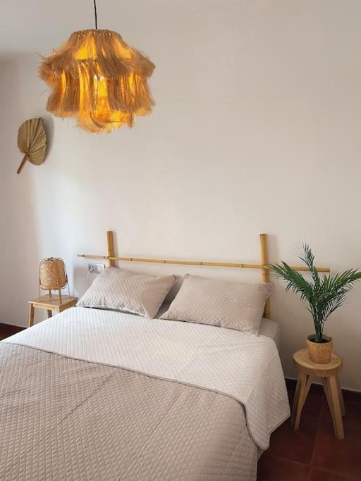 Apartamento Casa Bamboo Corralejo, Espacioso, Piscina Y Parking Esterno foto