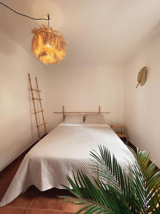 Apartamento Casa Bamboo Corralejo, Espacioso, Piscina Y Parking Esterno foto